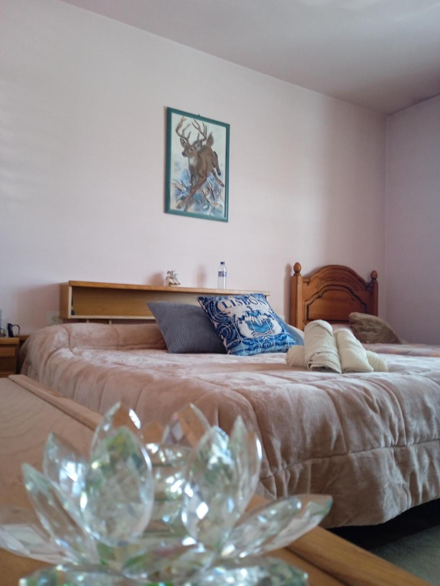 Bed and Breakfast A Casa De Abelleira Ponteareas Exteriér fotografie